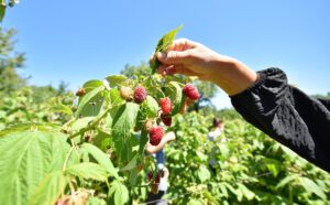 Bursa Büyükşehir’in ihracat hedefi 1 milyon dolar