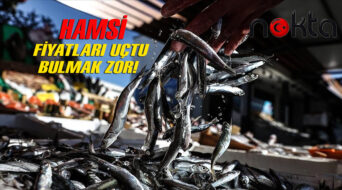 Av yasağı nedeniyle hamsi fiyatları arttı