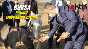 İşte Alinur Aktaş’la Haytap Bursa’nın emekli hayvanlar çiftliği