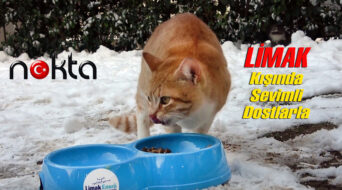 Limak Enerji kışında sevimli dostların yanında