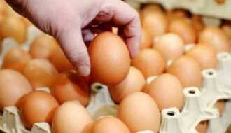 Üreticide 63 kuruş pazarda 1.25 TL