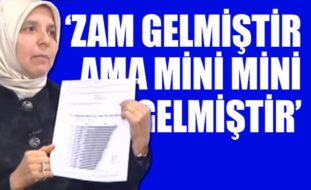 AK Parti’li Hüsnüye Erdoğan’a göre; zamlar ‘minik’, benzin pahalı değilmiş!