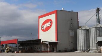 Aynes’i de sudan ucuza satacaklar