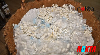 Bursa’da Bursa ipeğine can verecek yeni proje